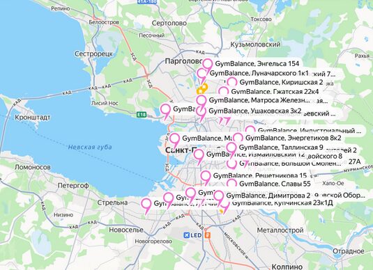 гимнастика санкт петербург от 4 лет