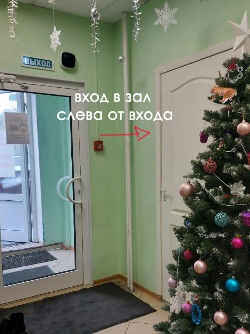 фрунзенская школа художественной гимнастики